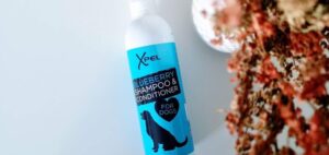 Xpel blueberry shampoo and conditioner