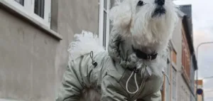 RIGA Vinterjakke til hunde med 4 ben